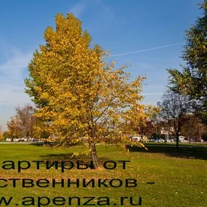 Пенза. Аренда квартир посуточно,  без посредников