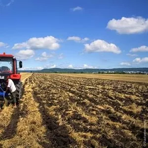 Земля под С/Х производство 500 Га в Чесменском р-не