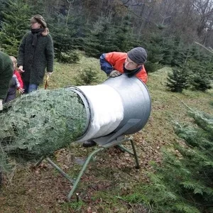 Оборудование для упаковки ёлок