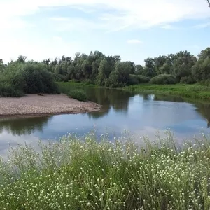 Продаю участок в с. Нижняя Солонцовка. Собственник.