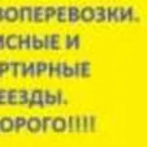 Автомобильные грузоперевозки по Краснодару и краю 