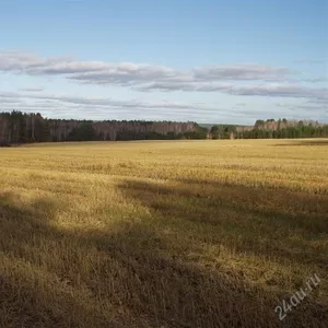 Продам 80 дачных участков под застройку 