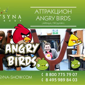 Весёлый аттракцион ANGRY BIRDS