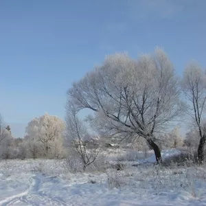  Участок 40 соток в д. Кулешово Тульской области.