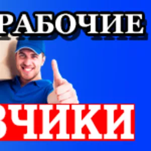 услуги грузчиков