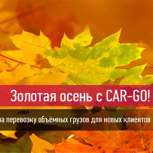 Транспортная компания. CAR-GO