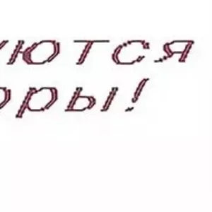 Приглашаем на работу авторов по написанию студенческих работ