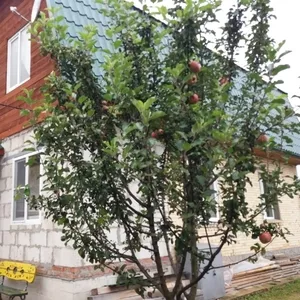 Зимний дом 120 м. новая Москва,  Ворсино - 2