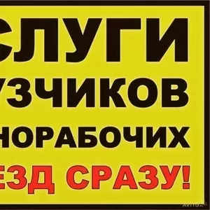 	Погрузка и разгрузка вагонов,  фур и складские работы в Омске