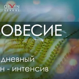 Шестидневный онлайн-интенсив 