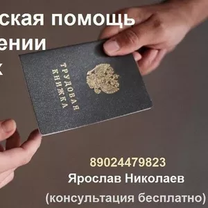 Юридическая помощь,  консультация