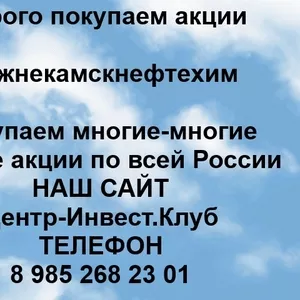 Покупаем акции ПАО Нижнекамскнефтехим и любые другие акции по всей России