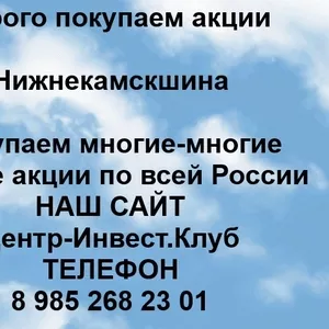 Покупаем акции ПАО Нижнекамскшина и любые другие акции по всей России