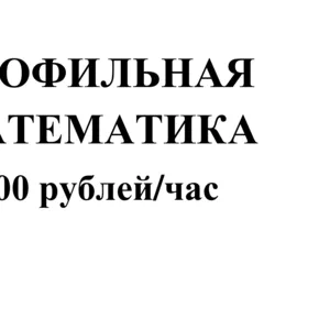 Профильная математика 300 рублей/час! Удобно и практично!