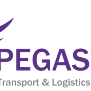 Надежная грузоперевозка от «PEGAS LOGISTICS»