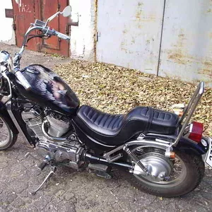 Suzuki intruder