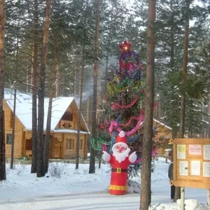 Новогодний банкет и новогодние каникулы на базах отдыха Ирк.области